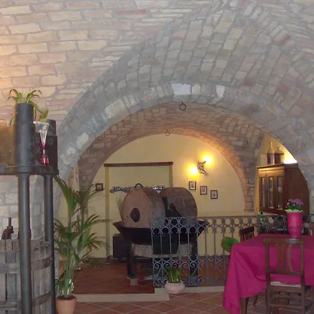 Ciuccunit Bucchianico