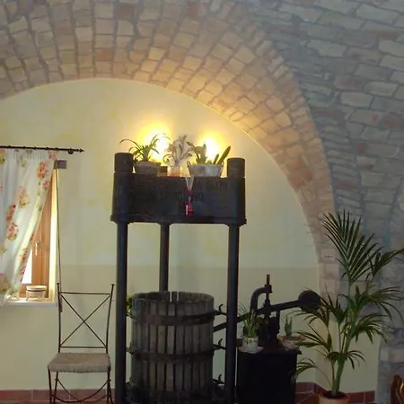 Ciuccunit Bucchianico