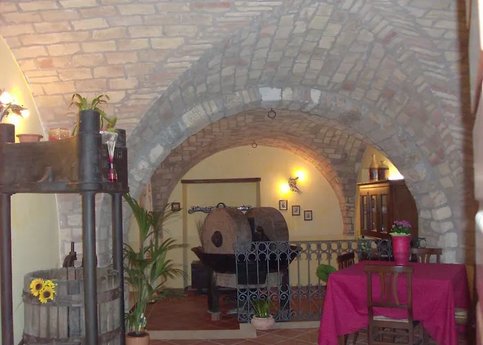 Ciuccunit Bucchianico