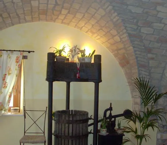 Ciuccunit Bucchianico